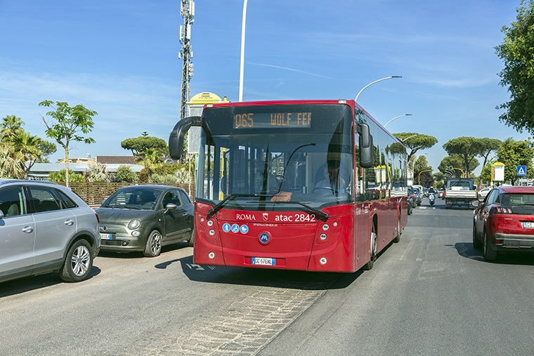 linea 065