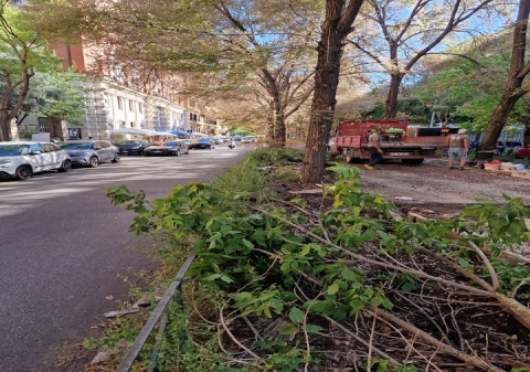 Un momento dell'intervento a viale dell'Università