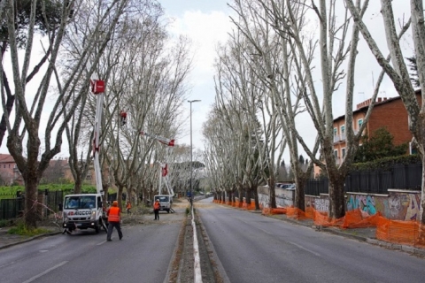 L'intervento di potatura a via Cilicia